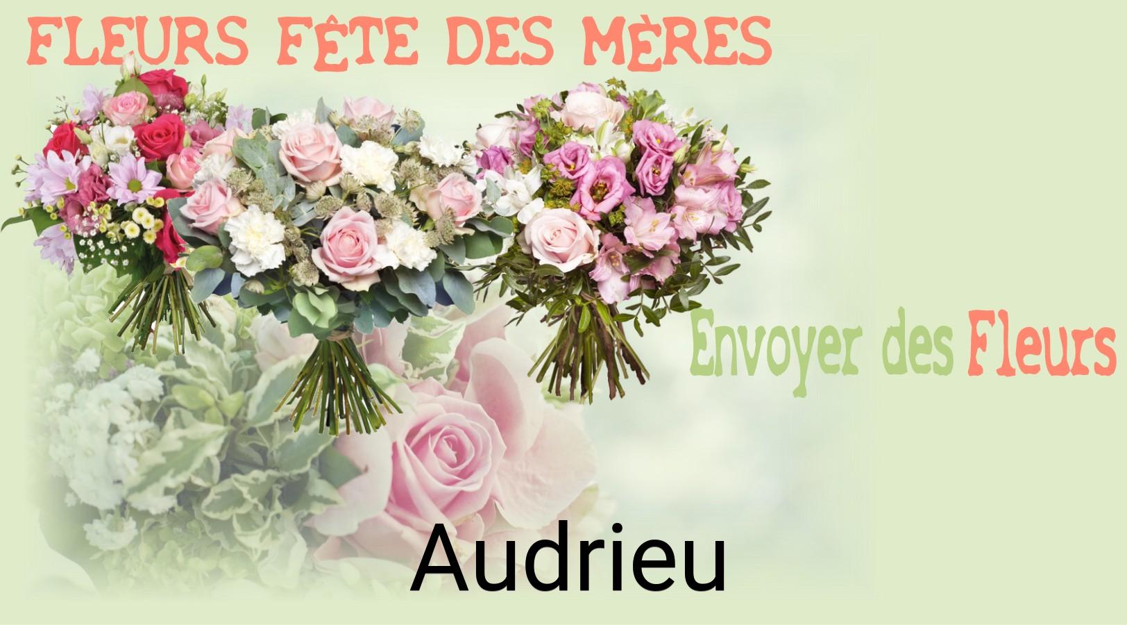 Bouquet de Fête des Mères livré à Audrieu